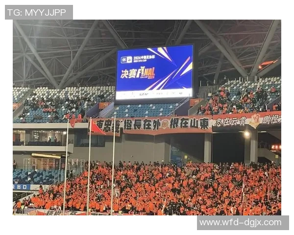 足球比赛的精彩瞬间与我的观赛体验分享