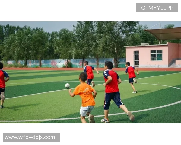 邢台社会足球热潮兴起推动全民健身与社区团结新发展