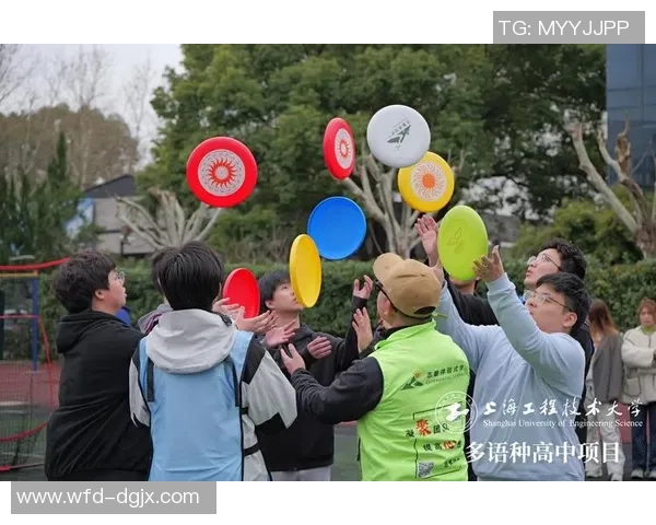 飞盘心理素质排行榜揭晓北京飞盘队表现卓越名列前茅